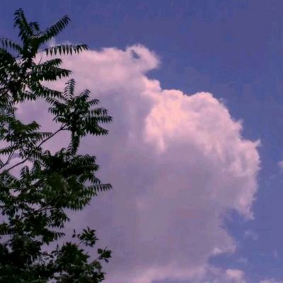 乐鱼APP下载手机版