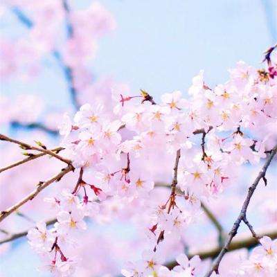 万博manbetx登录下载手机版