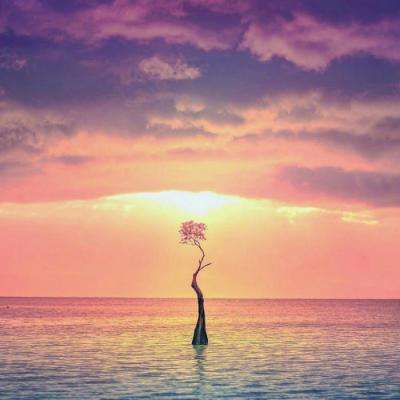 皇冠正规娱乐平台截图